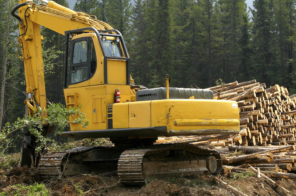 Unser breites Sortiment an Verschleißteilen für die Forstwirtschaft sorgt dafür, dass Ihre Maschinen effizienter, sicherer und länger arbeiten.